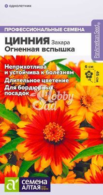 Цветы Цинния Захара Огненная вспышка (6 шт) Семена Алтая