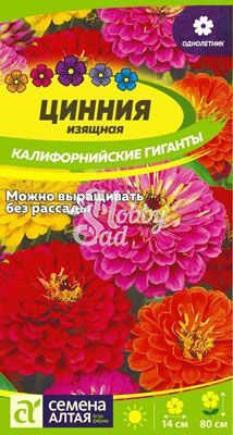 Цветы Цинния Калифорнийские гиганты (0,2 г) Семена Алтая
