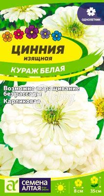 Цветы Цинния Кураж Белая карликовая (0,3 г) Семена Алтая