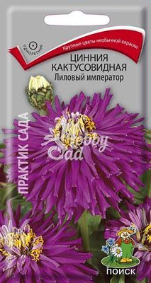 Цветы Цинния Лиловый император кактусовидная (0,4 г) Поиск