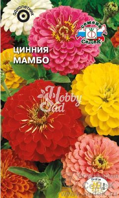 Цветы Цинния Мамбо георгиновидная смесь (0,5 г) Седек