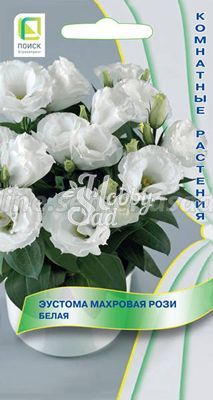 Цветы Эустома Рози Белая махровая (5 шт) Поиск Комнатные