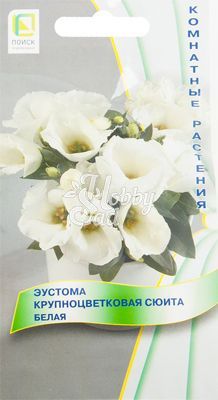 Цветы Эустома Сюита Белая крупноцветковая (5 шт) Поиск Комнатные