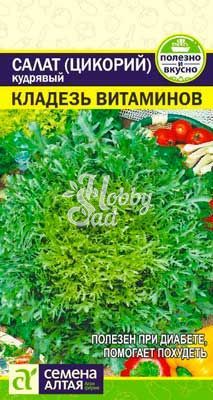 Салат Эндивий Целебный букет (0,5 гр) Семена Алтая 