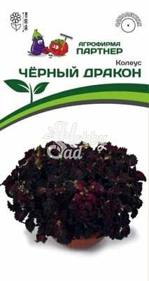 Цветы Колеус Черный дракон шлемниковидный (10 шт) Партнер НОВИНКА 2024