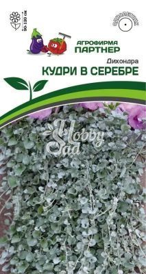 Цветы Дихондра КУДРИ В СЕРЕБРЕ серебристая (4шт в амп) Партнер НОВИНКА 2024