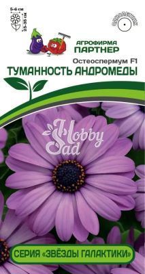 Цветы Остеоспермум F1 "Звезды Галактики" Туманность Андромеды (3 шт в амп) Партнер НОВИНКА 2024