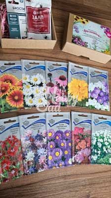 "Многолетники" подарочный набор семян многолетних цветов Поиск