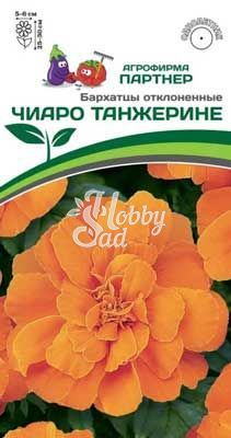 Цветы Бархатцы ЧИАРО ТАНЖЕРИНЕ отклоненные (10 шт) Партнер НОВИНКА 2024