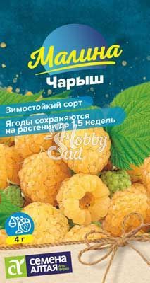 Малина Чарыш желтая (0,03 г) Семена Алтая НОВИНКА