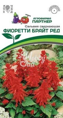 Цветы Сальвия сверкающая Фиоретти Брайт Ред^(10шт в амп) Партнер НОВИНКА 2024