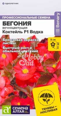 Цветы Бегония Коктейль F1 Водка вечноцветущая (5 шт) Семена Алтая НОВИНКА!