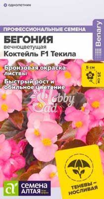Цветы Бегония Коктейль F1Текила вечноцветущая (5 шт) Семена Алтая НОВИНКА!