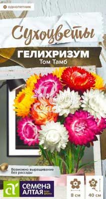 Цветы Гелихризум Том Тамб (0,2 г) Семена Алтая