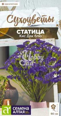Цветы Статица Кис Дак блю (7 шт) Семена Алтая Сухоцветы НОВИНКА !