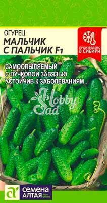 Огурец Мальчик-с-пальчик F1 (5 шт) Семена Алтая 