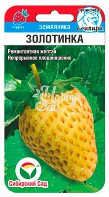 Земляника Золотинка  (10 шт) Сибирский Сад НОВИНКА!