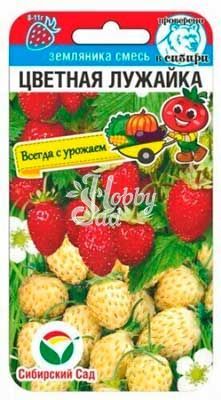 Земляника Цветная лужайка смесь (10 шт) Сибирский Сад НОВИНКА!