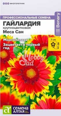 Цветы Гайлардия Меса Сан (3 шт) Семена Алтая НОВИНКА !