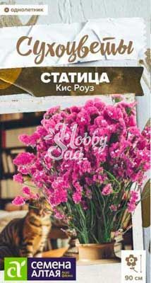 Цветы Статица Кис Роуз (7 шт) Семена Алтая Сухоцветы НОВИНКА!