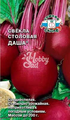 Свекла Даша (столовая) (3 г) Седек