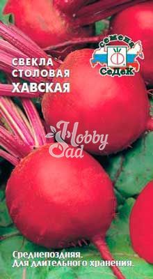 Свекла Хавская (столовая) (3 г) Седек