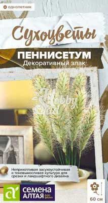 Цветы Пеннисетум мохнатый злак декоративный (5шт) Семена Алтая Сухоцветы НОВИНКА