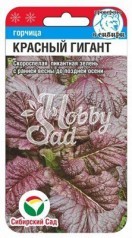 Горчица Красный гигант (0,5 гр) Сибирский Сад