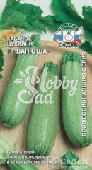 Кабачок Ванюша F1 (2 г) Седек