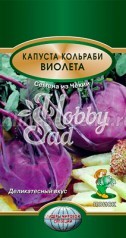 Капуста Виолета кольраби (0,5 гр) Поиск