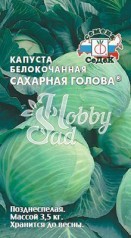 Капуста Сахарная голова F1 белокочанная (0,5 г) Седек