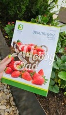 Каталог "Земляника садовая (клубника)" Поиск