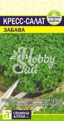 Кресс-Салат Забава (1 гр) Семена Алтая