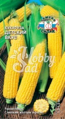 Кукуруза Детский Вкус (5 г) Седек