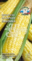 Кукуруза Лакомка сахарная (5 г) Седек