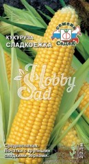 Кукуруза Сладкоежка сахарная (4 г) Седек