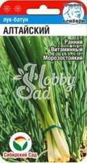 Лук Алтайский батун (0,5 гр) Сибирский Сад