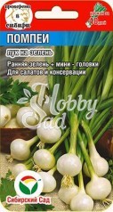 Лук Помпеи на зелень (0,5 гр) Сибирский Сад