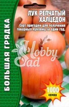 Лук Халцедон репчатый (1000 шт) ЭКЗОТИКА