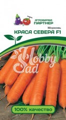 Морковь Краса Севера F1 (0,5 г) Партнер