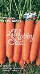 Морковь Нандрин F1 (100 шт) Седек