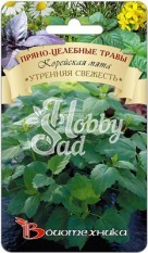 Мята корейская Утренняя свежесть (0,1 г) Биотехника
