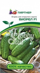 Огурец Виорел F1 пчелоопыляемый (0,5 г) Партнер