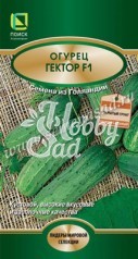 Огурец Гектор F1 (10 шт) Поиск