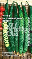 Огурец Изумрудный Поток F1 (0,2 г) Седек