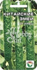 Огурец Китайский змей (10 шт) Сибирский Сад