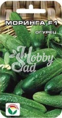 Огурец Моринга F1 (7 шт) Сибирский Сад