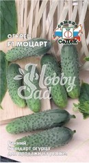 Огурец Моцарт F1 (8 шт) Седек