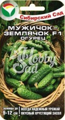 Огурец Мужичок-землячок F1 (7 шт) Сибирский Сад