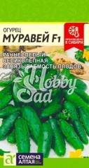 Огурец Муравей F1 (5 шт) Семена Алтая